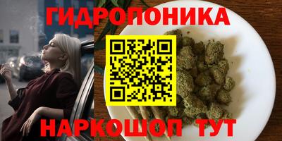 дмт Славянск-на-Кубани