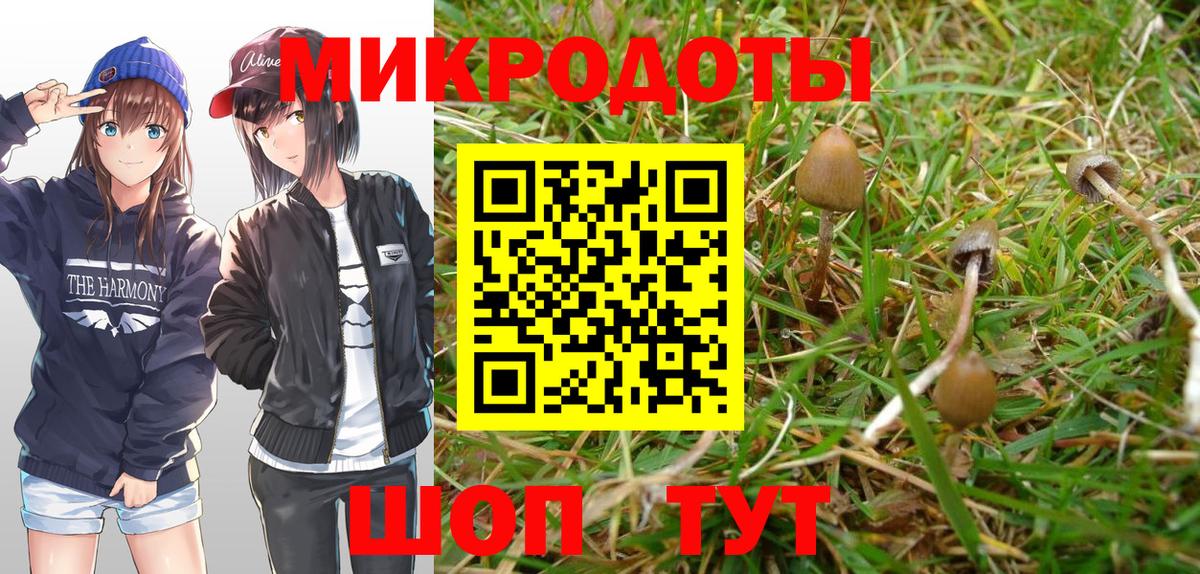 Псилоцибиновые грибы мицелий Ростов-на-Дону