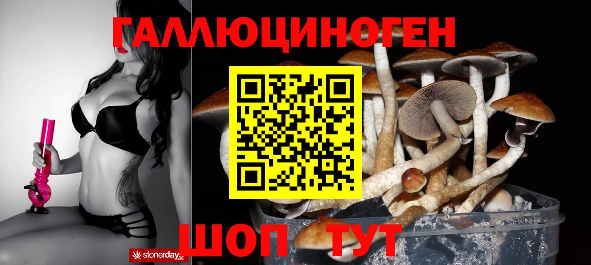Ростов-на-Дону  Галлюциногенные грибы мицелий  Псилоцибиновые грибы Psilocybine cubensis  Вход с VPN 